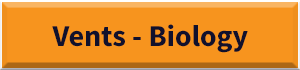 vents biology